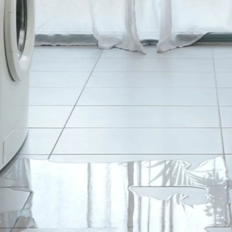 Appliance Leak Cleanup in Shelby, MS