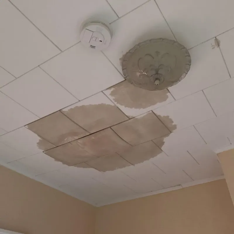 Ceiling Water Damage Repair in Shelby, MS