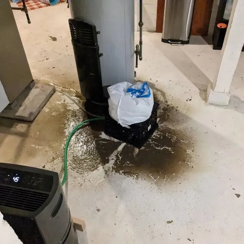 Sewage Backup Cleanup Service in Shelby, MS